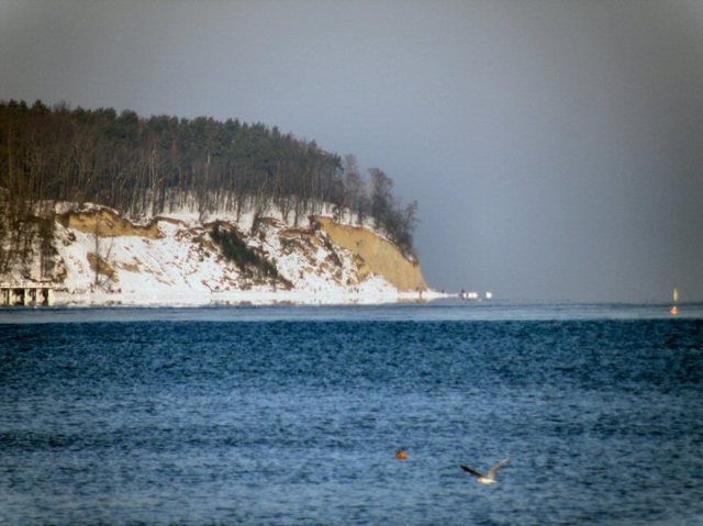 Sopot-zima2010-widok  z  plaży  na  orłowski  klif