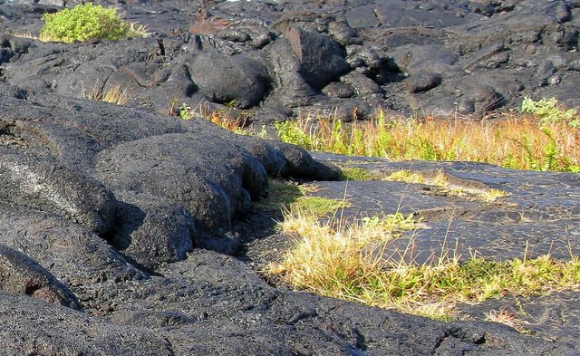Big Island (Hawaii)