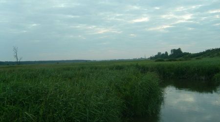 Łąki nd wWeprzem – Nielisz, Polska