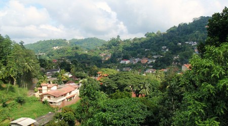 górskie obrzeża Kandy – Sri Lanka