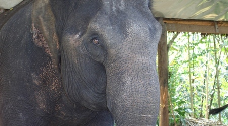 Kanchanaburi – Tajlandia