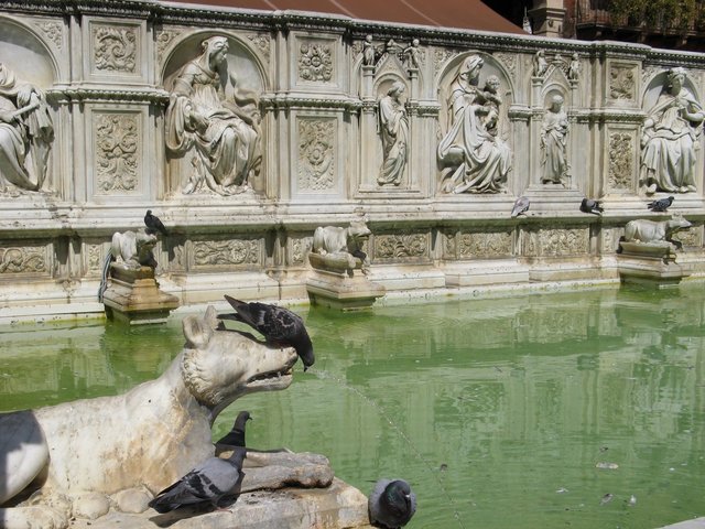 Siena -