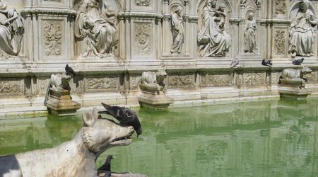 Siena - – Włochy