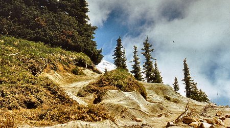 Mt. Rainier - ciekawe  zabezpieczenia w  parku  narodowym – Mount Rainier, Stany Zjednoczone Ameryki