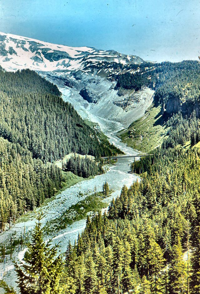 Mt. Rainier - widok  na  drogę przecinająca strumien