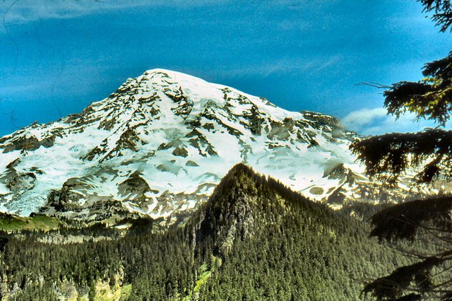 Mt. Rainier - bliżej