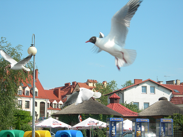 Mikołajki