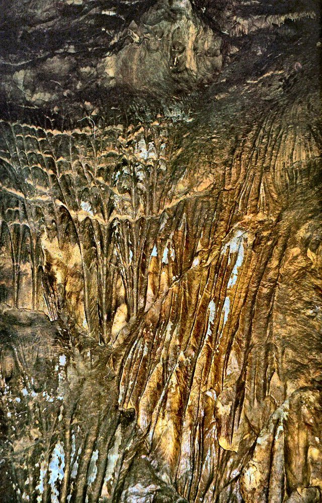 Jaskinia  Macocha - Morawy - nacieki