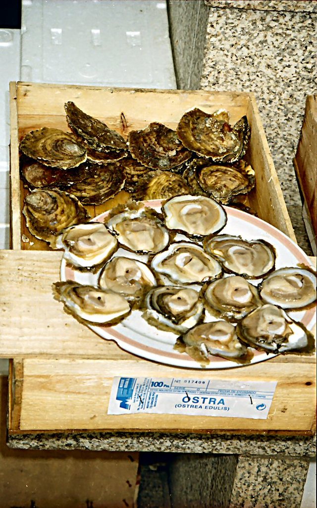 Vigo - ostrygi