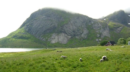 232925 - Norwegia Lofoty