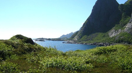 232929 - Norwegia Lofoty