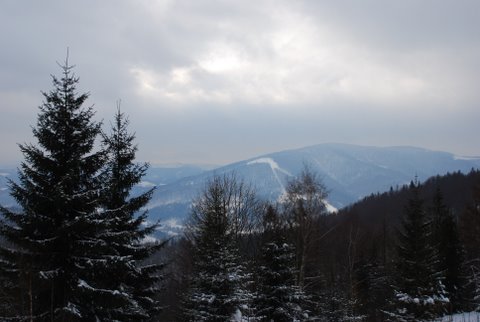 w drodze na Równicę...