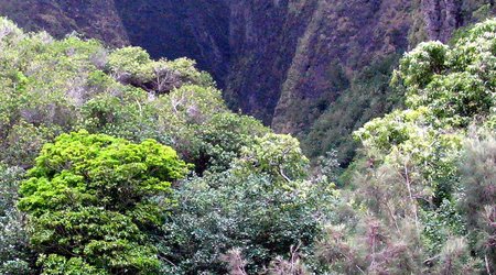 Maui – Kahului, Stany Zjednoczone Ameryki