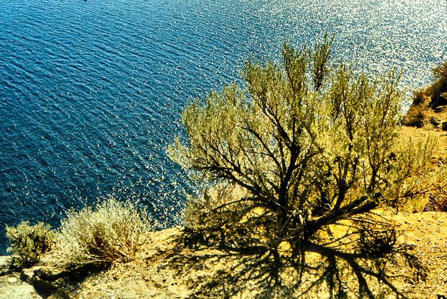 Oregon, Columbia  River