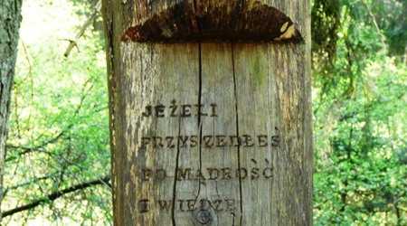Bialowieza – Białowieża, Polska