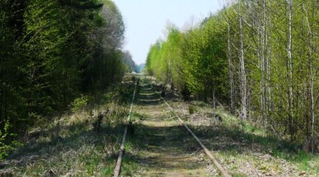 Bialowieza – Białowieża, Polska