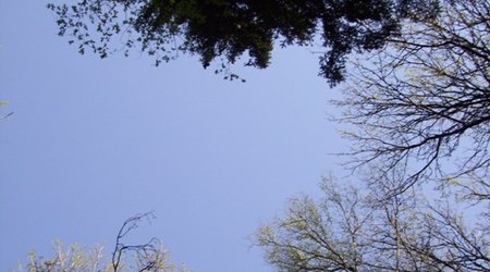 Bialowieza – Białowieża, Polska