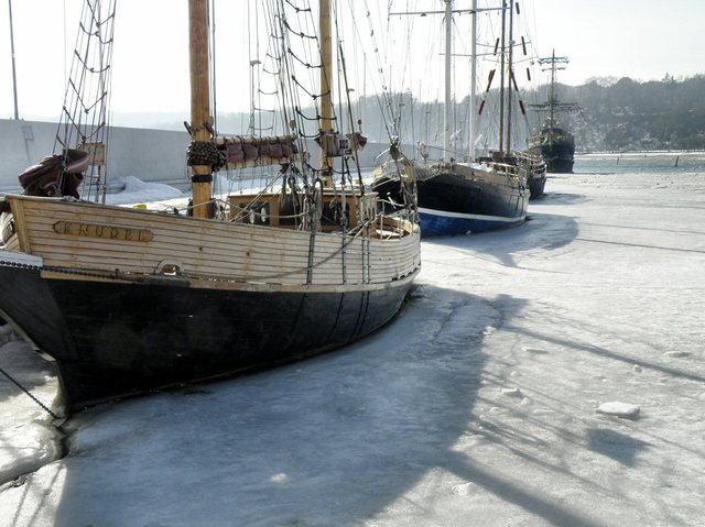 Gdynia-luty 2010