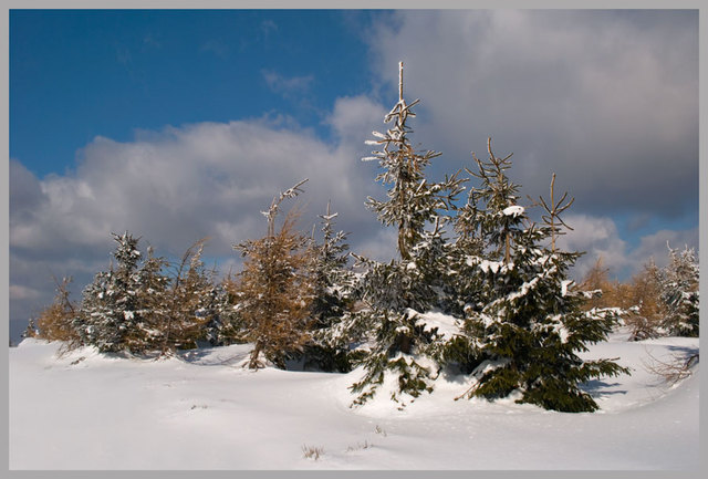 Pejzaż zima 07.03.2010r