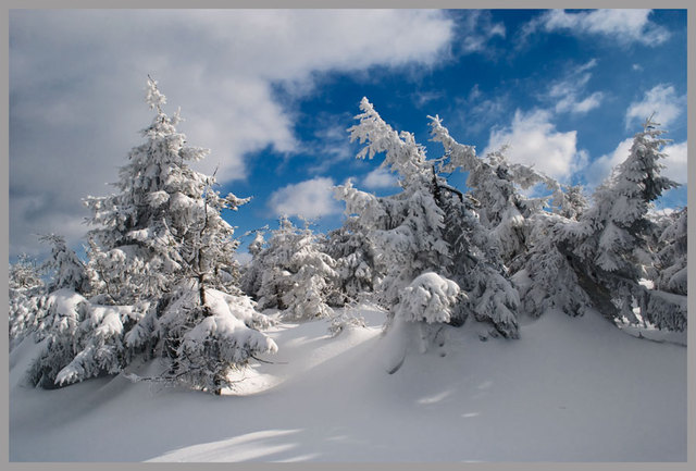 Pejzaż zima 07.03.2010r