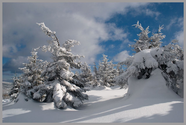 Pejzaż zima 07.03.2010r