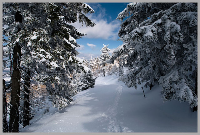 Pejzaż zima 07.03.2010r