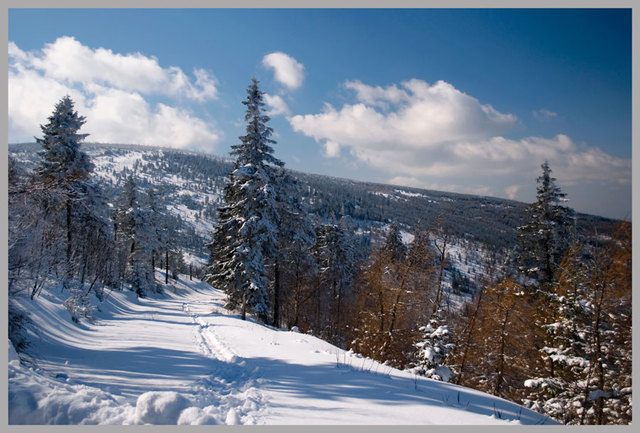 Pejzaż zima 07.03.2010r