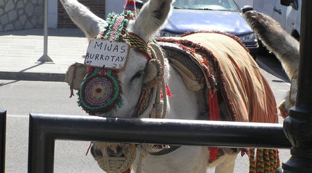 Mijas burrotaxi – Hiszpania