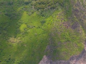 Big Island (Hawaii)