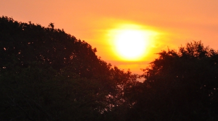 239916 - Yala – Sri Lanka