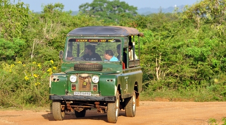 239923 - Yala – Sri Lanka
