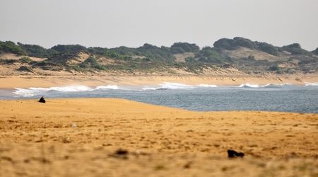 239928 - Yala – Sri Lanka