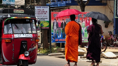 239944 - Yala – Sri Lanka