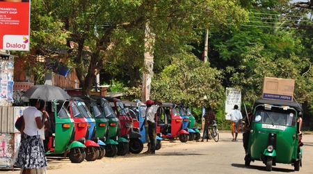 239945 - Yala – Sri Lanka