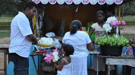 239956 - Yala – Sri Lanka