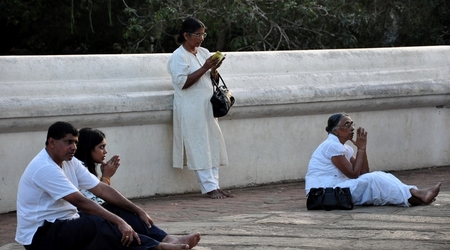 239957 - Yala – Sri Lanka