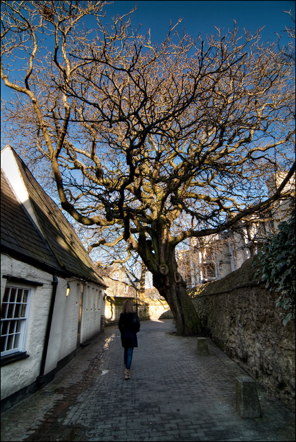 Oxford
