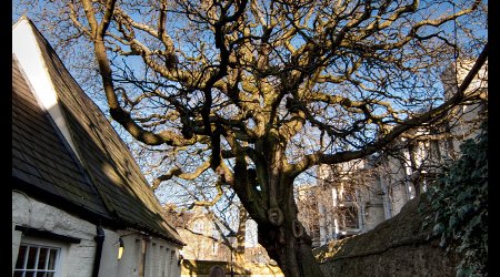 Oxford – Wielka Brytania