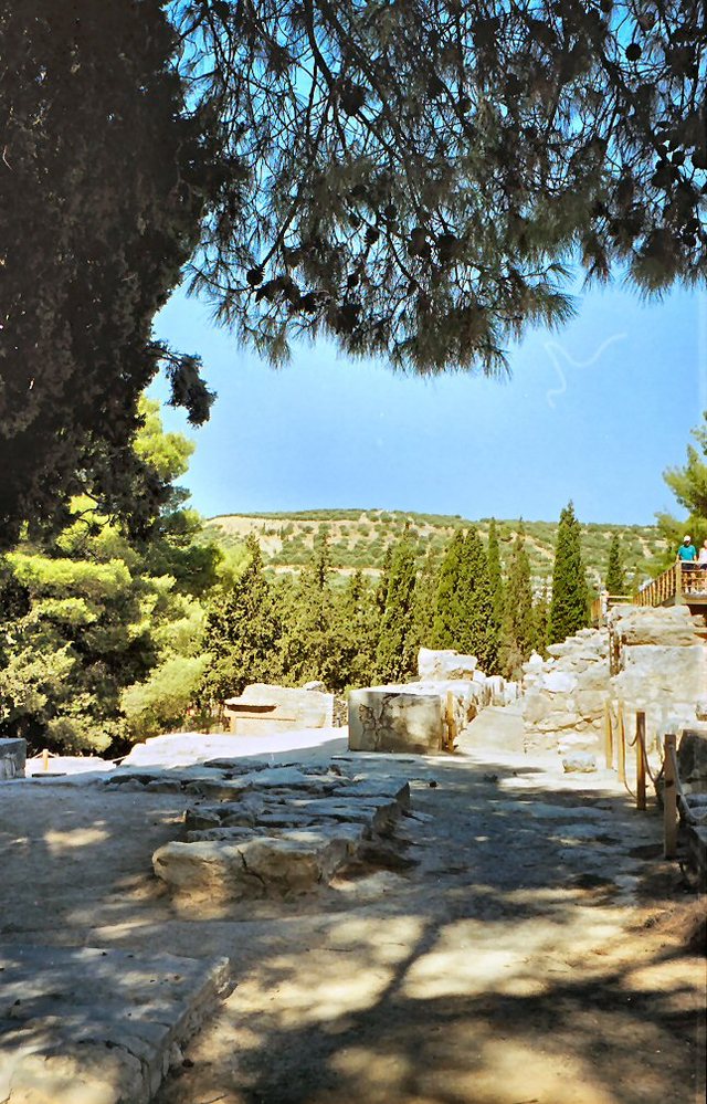 Knossos -ruiny  pałacu  króla  Minosa