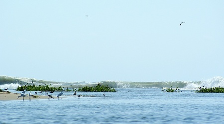 Ocean i Laguna de Coyuca – Barro de Coyuca, Meksyk