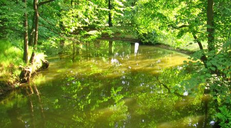 Pszczyna – Polska