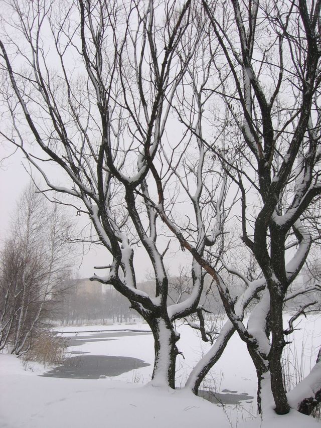 Sosnowiec3