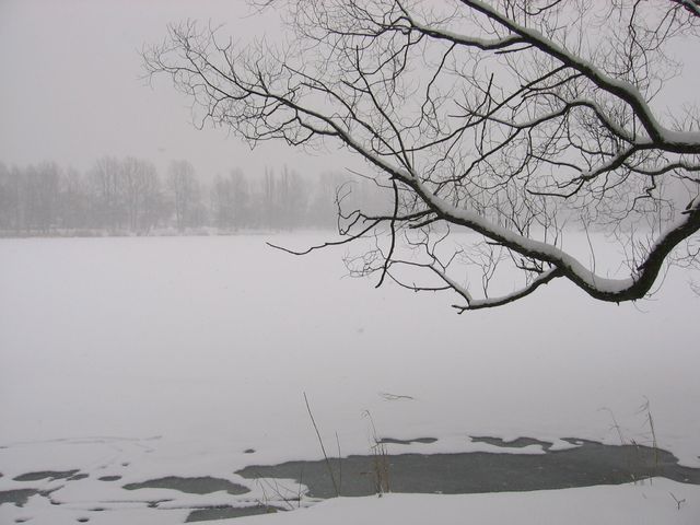 Sosnowiec4