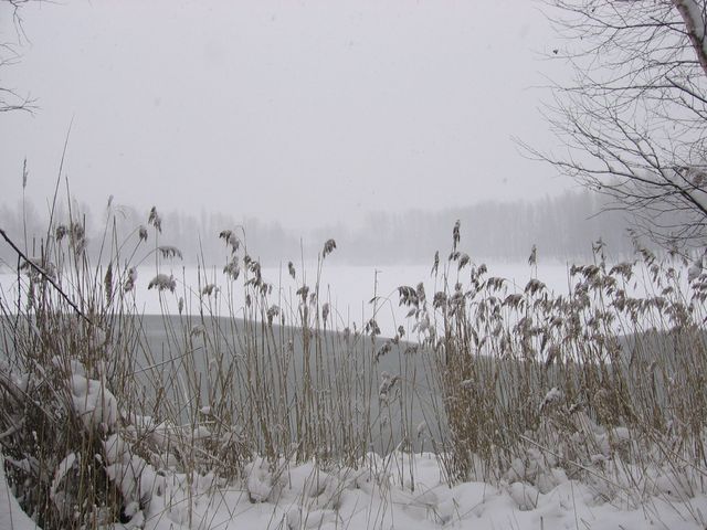 Sosnowiec5