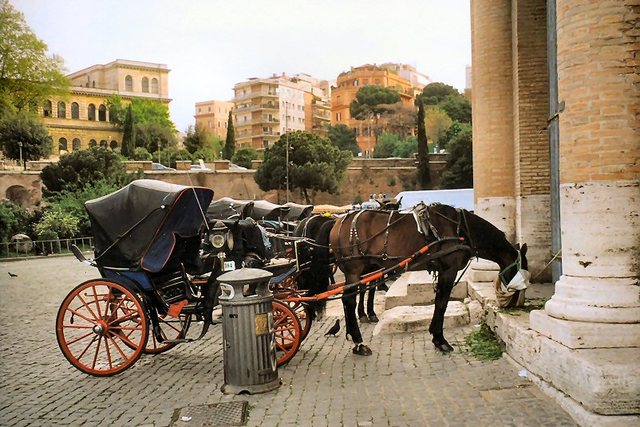 Rzym - dorożki  przed  Colosseum