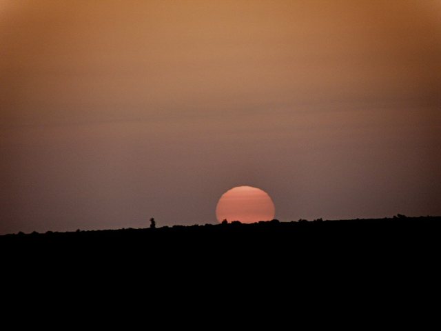 Sahara-wschód nad słonym  jeziorem  Shot Djerid