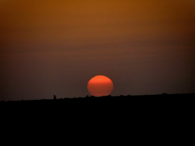 Sahara-wschód nad słonym  jeziorem  Shot Djerid