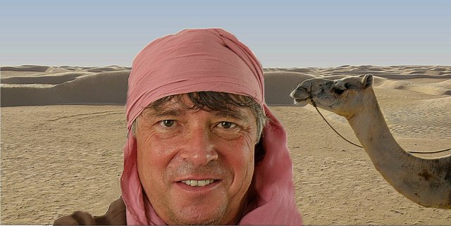 Sahara i  ja  i mój  dromader