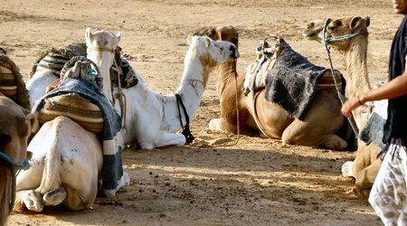 Sahara i  jej  piękno – Tunezja