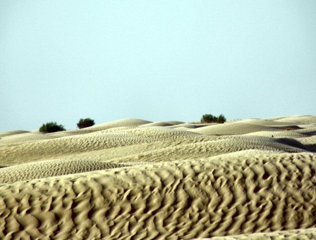 Sahara i  jej  piękno
